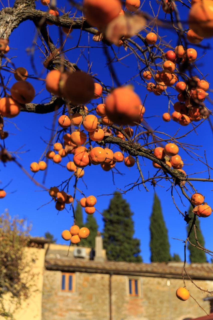Agriturismo Fattoria Santo Stefano เกรเว อิน เคียนตี ภายนอก รูปภาพ